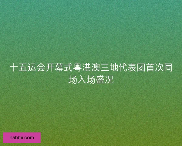 十五运会开幕式粤港澳三地代表团首次同场入场盛况